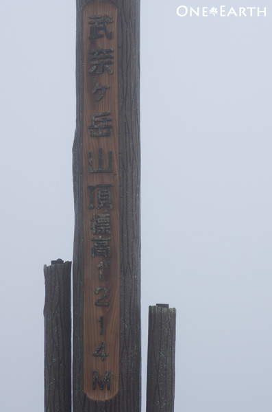 IMGP7727.jpg