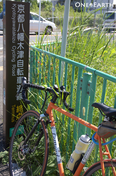 IMGP7881.jpg